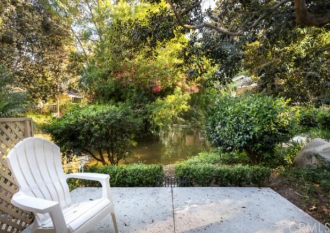 145 Pineview , Irvine CA: 