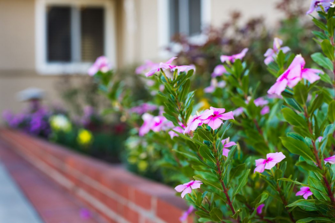 636 North Wrightwood Drive , Orange CA: