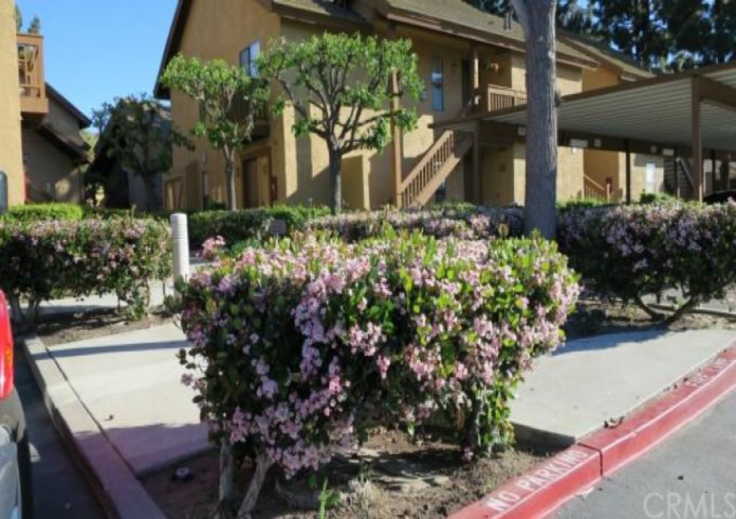 145 Orange Blossom , Irvine CA: 