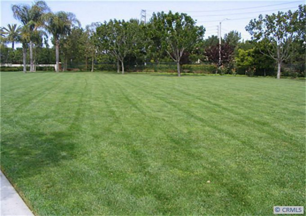 CA, Orange : 