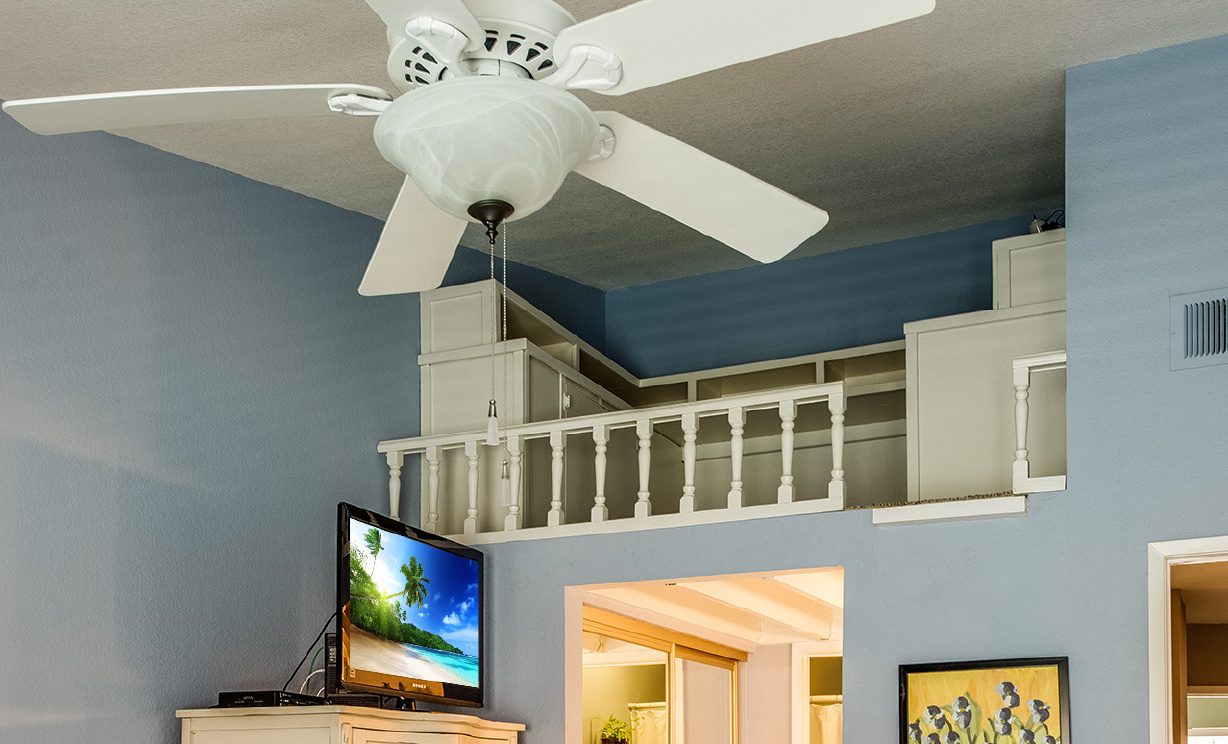 16 Daylily, Rancho Santa Margarita CA: 