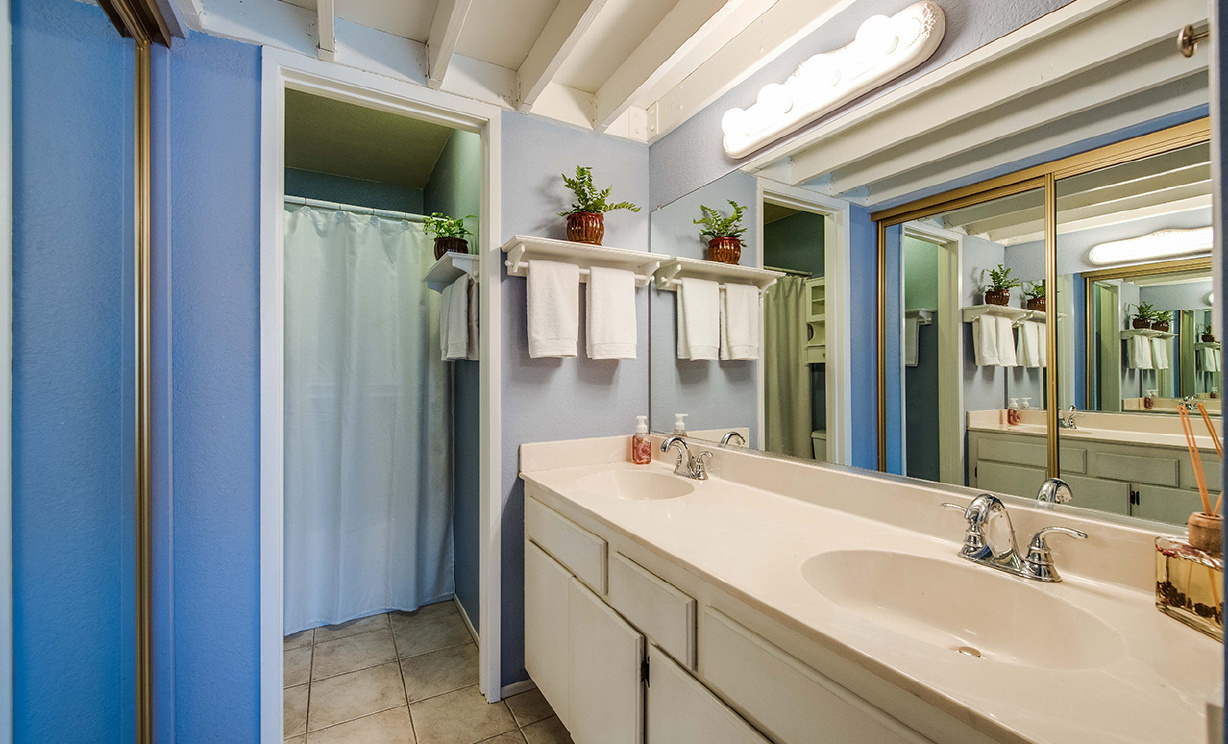 16 Daylily, Rancho Santa Margarita CA: 