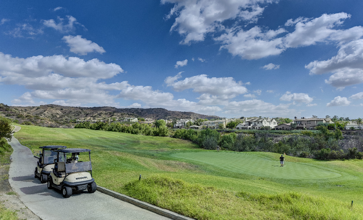 18954 Bold Ruler Way, Yorba Linda CA: 