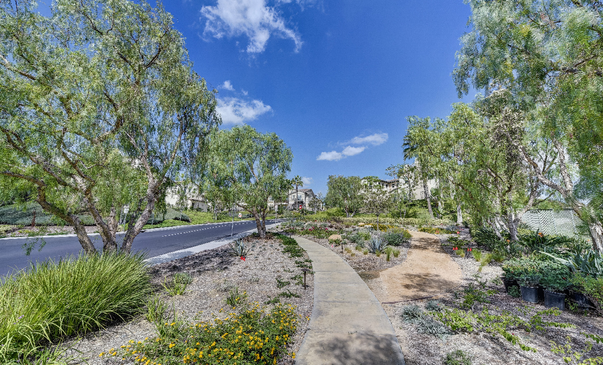 18954 Bold Ruler Way, Yorba Linda CA: 