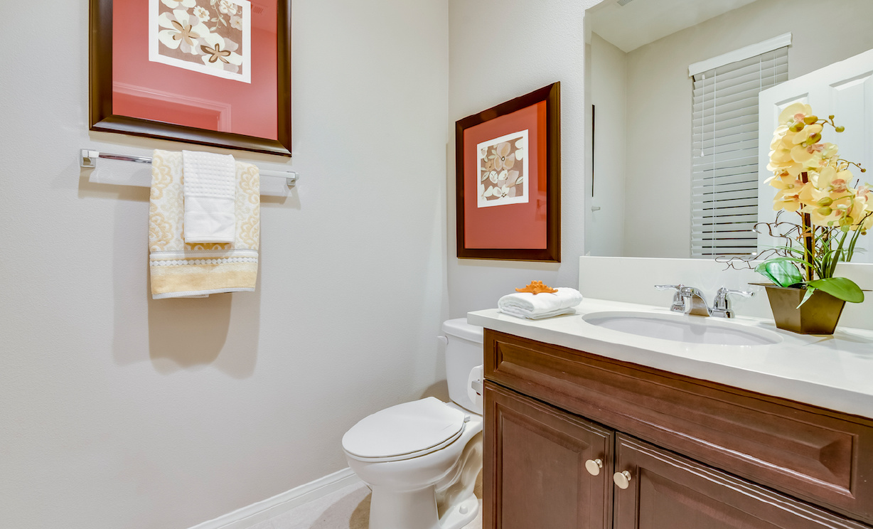 6041 Snapdragon Street, Eastvale CA: 