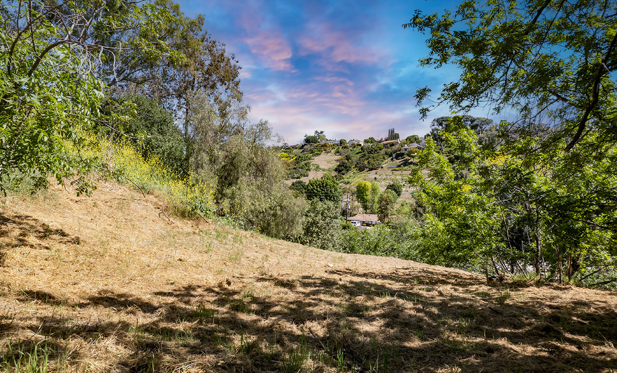 Las Palomas Drive, La Habra Heights CA: 