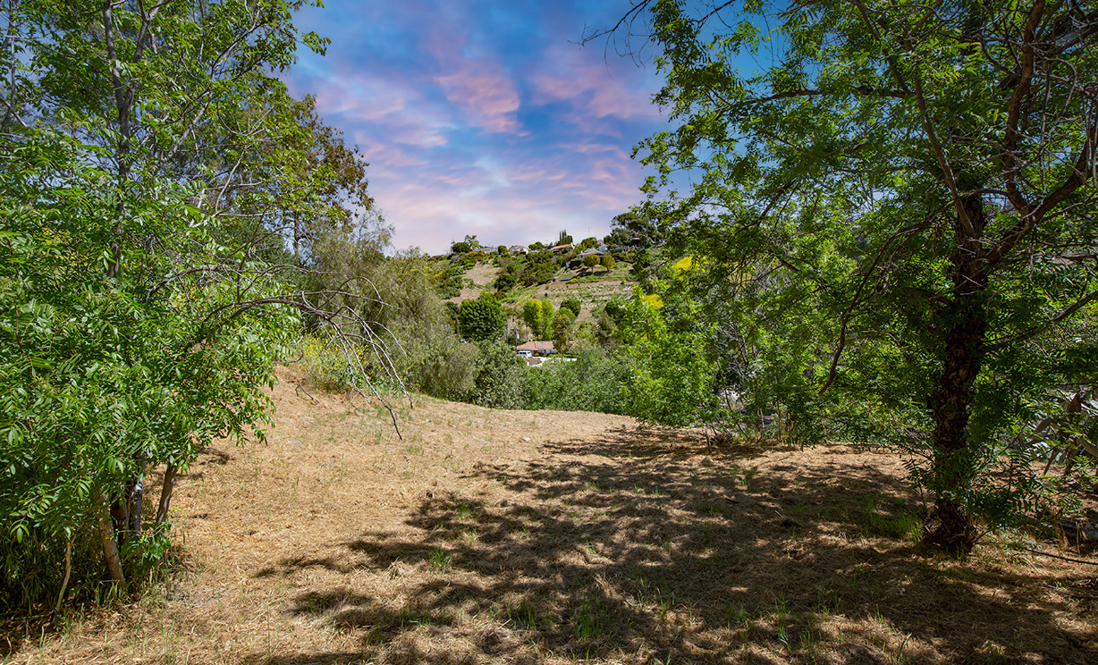 Las Palomas Drive, La Habra Heights CA: 