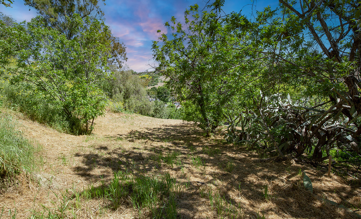 Las Palomas Drive, La Habra Heights CA: 