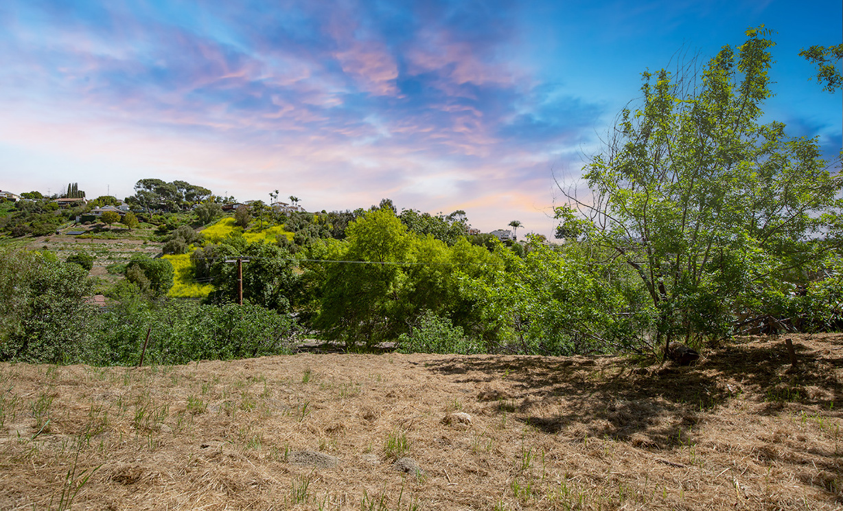 Las Palomas Drive, La Habra Heights CA: 