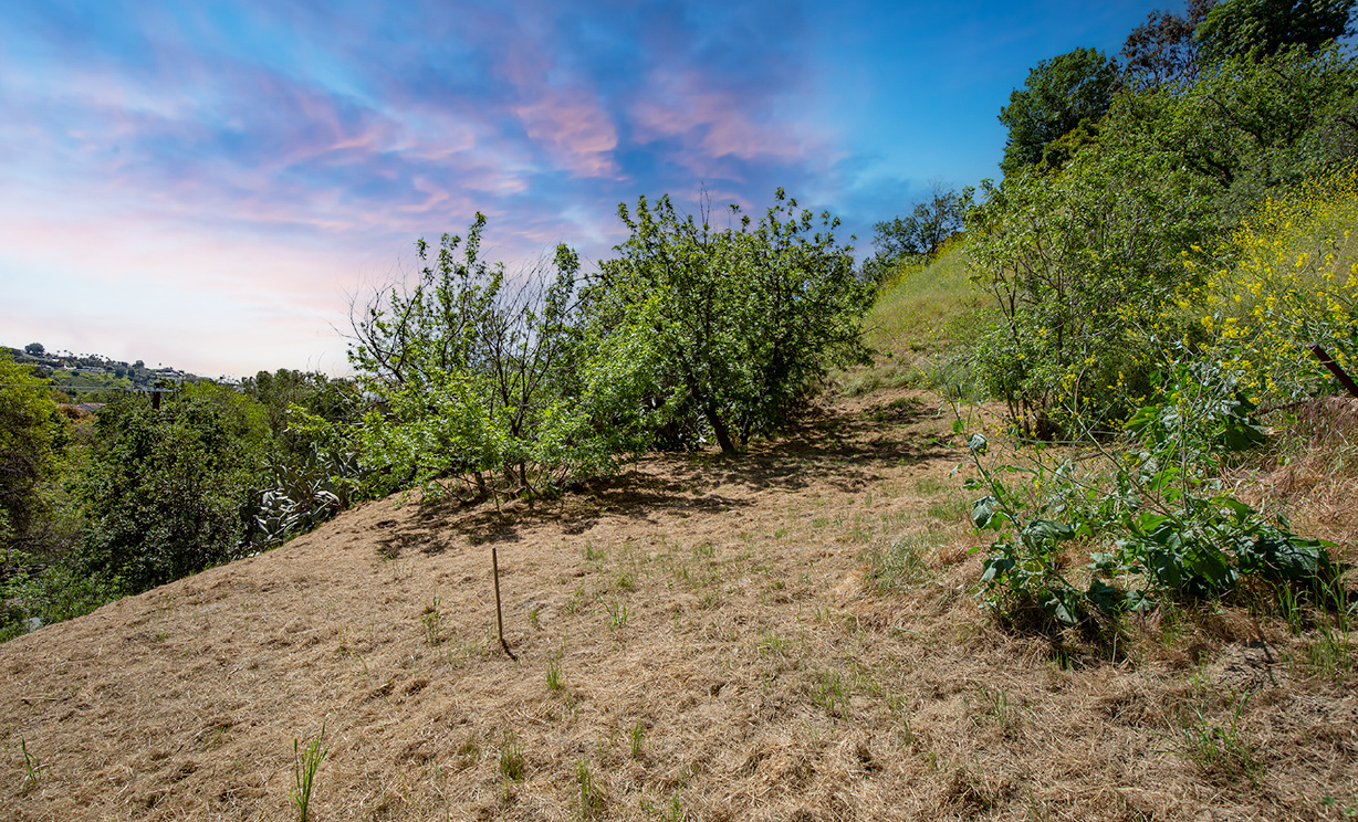 Las Palomas Drive, La Habra Heights CA: 