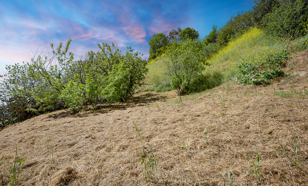 Las Palomas Drive, La Habra Heights CA: 