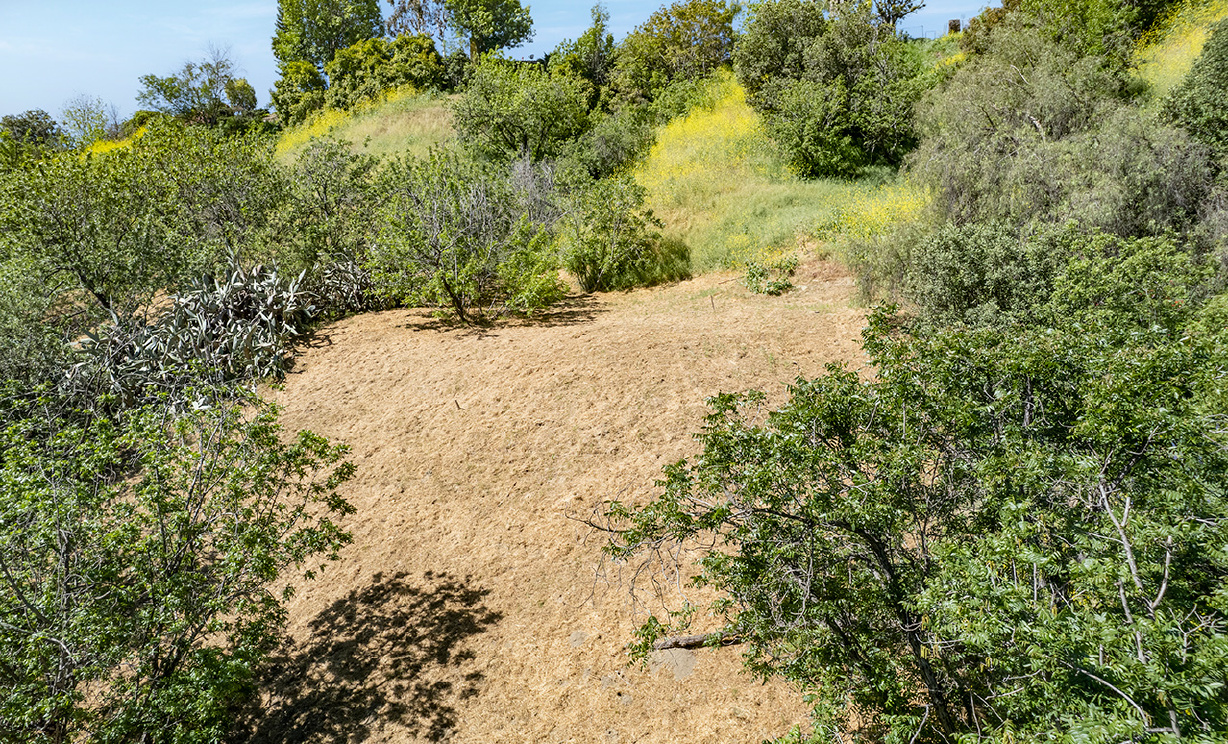 Las Palomas Drive, La Habra Heights CA: 