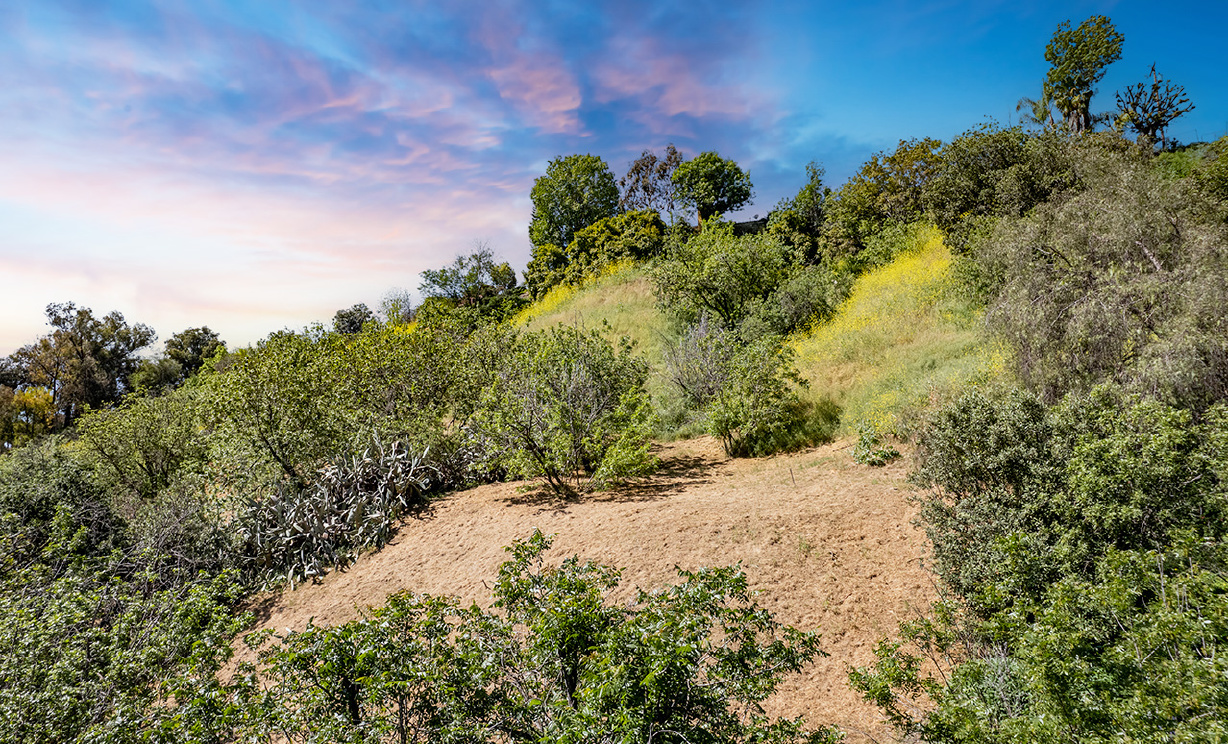 Las Palomas Drive, La Habra Heights CA: 