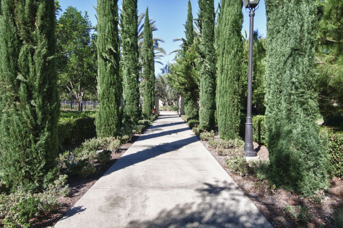 50 Talisman , Irvine CA: 