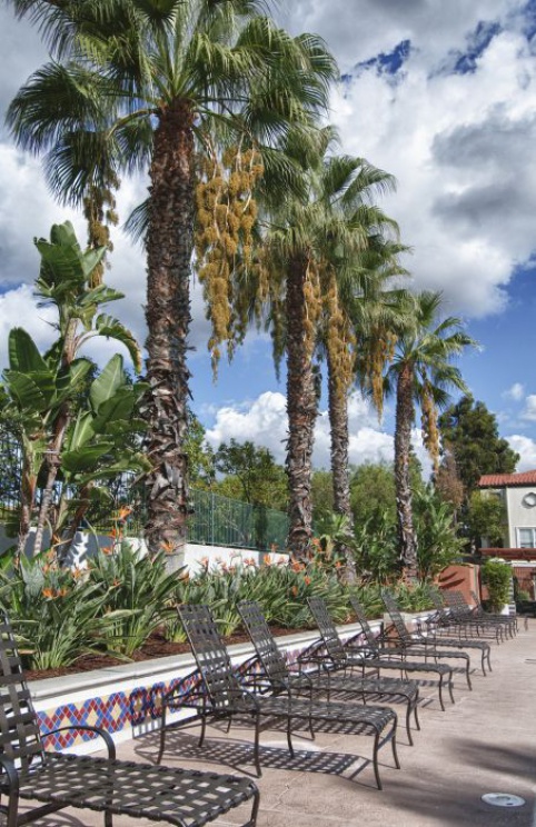 12693 Nicklaus Lane , Tustin CA: 