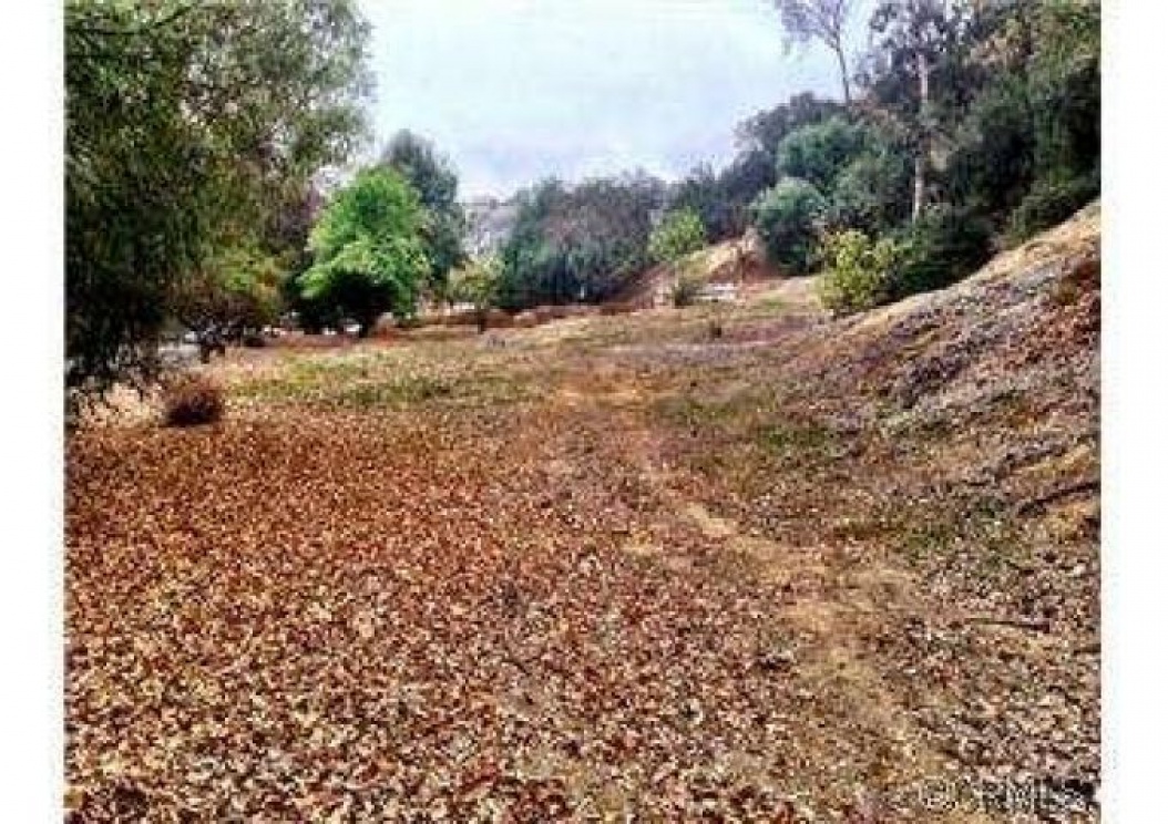 2240 Valle Drive , La Habra Heights CA: