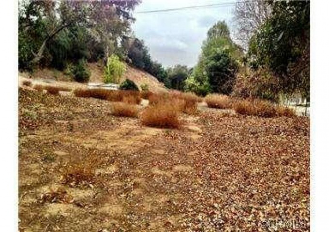 2240 Valle Drive , La Habra Heights CA: