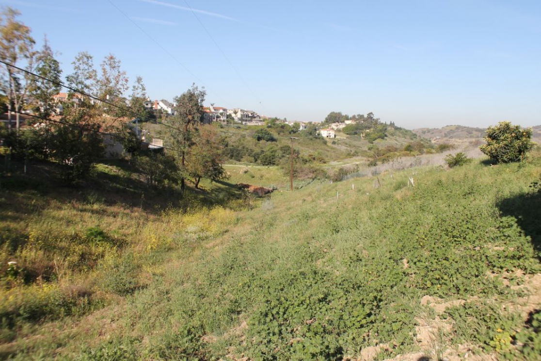 17751 Lewis Lane , Huntington Beach CA: 