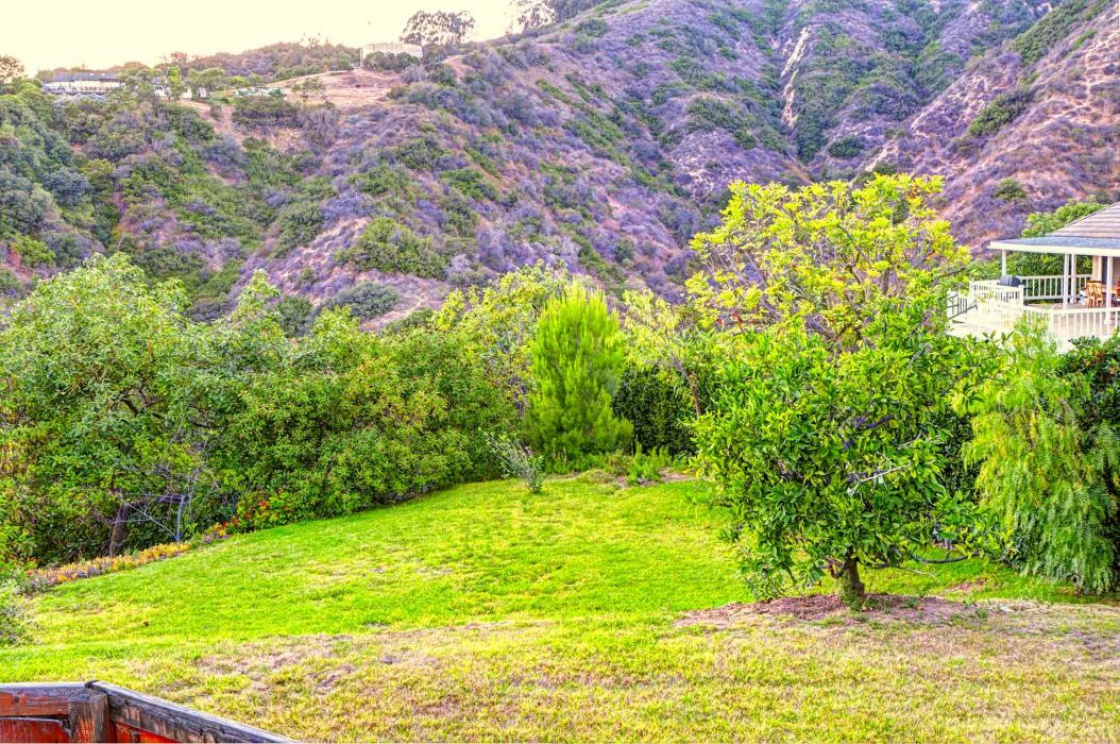 2267 Papaya Drive , La Habra Heights CA: 