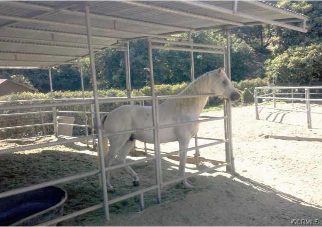 2355 Valle Drive, La Habra Height CA: 